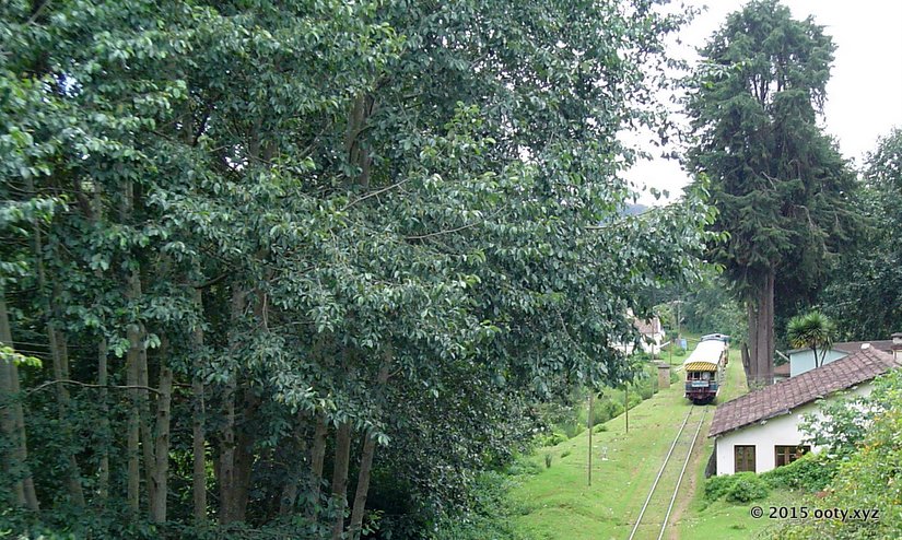 Nilgiri Passenger Train near Ooty