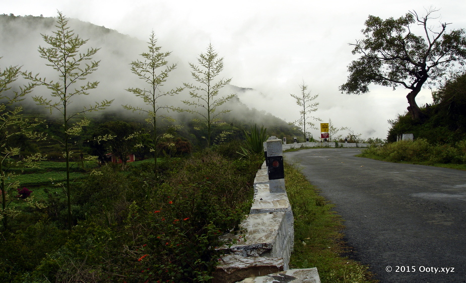 The hairpin bend route to Ooty via Masinagudi