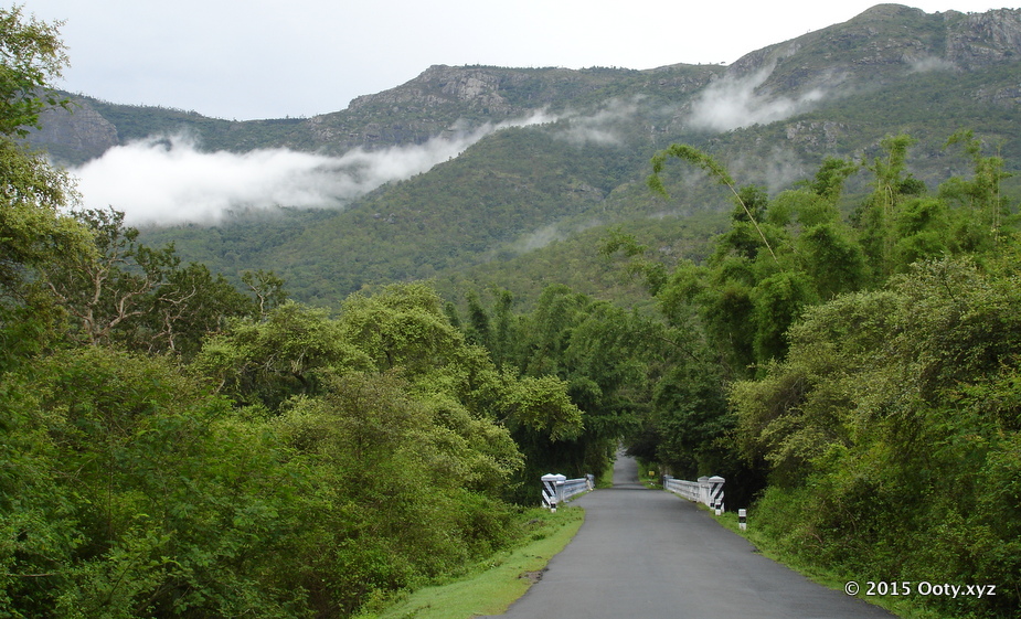 Bangalore to Ooty